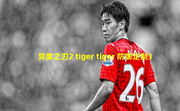 异度之刃2 tiger tiger 防御定制3